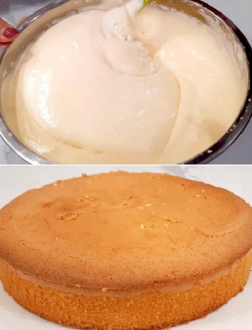 BASIC CAKE