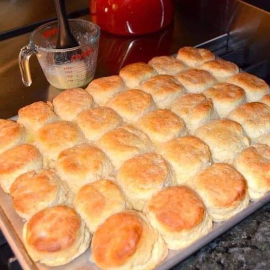 kfc biscuit