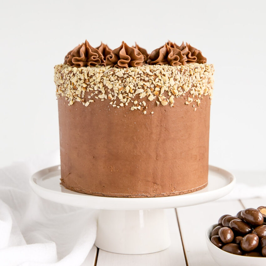Milk Chocolate Almond Cake