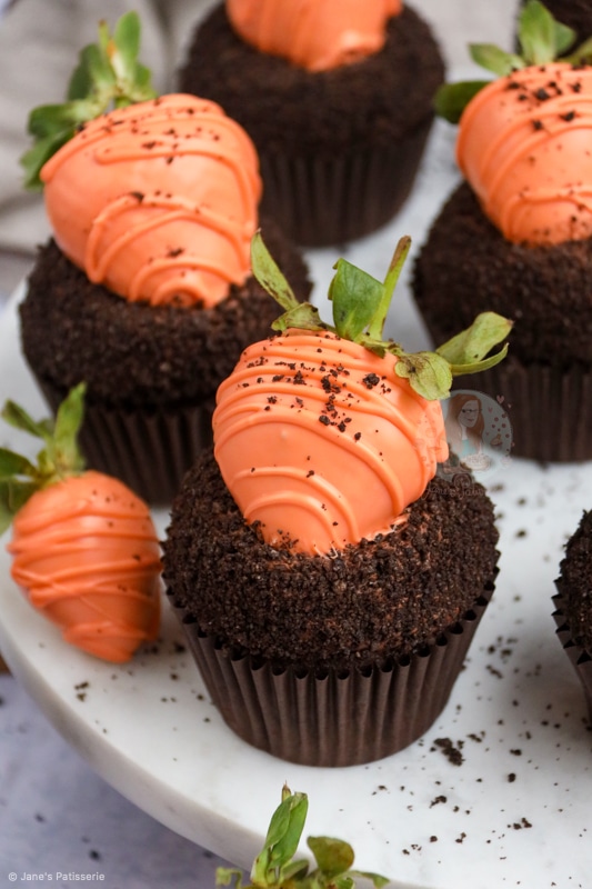 Carrot Patch Cupcakes!