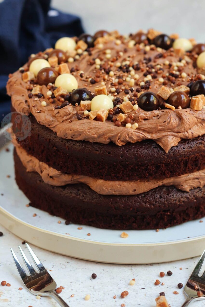 Chocolate Fudge Cake with the BEST Chocolate Frosting ever!