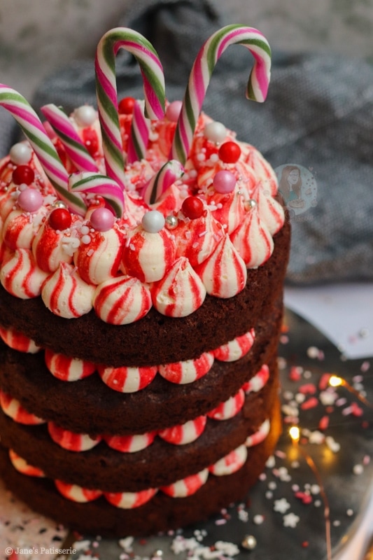 Chocolate Peppermint Cake!
