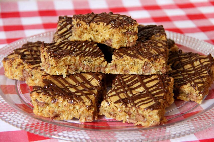 Coconut Chocolate Chip Blondies!