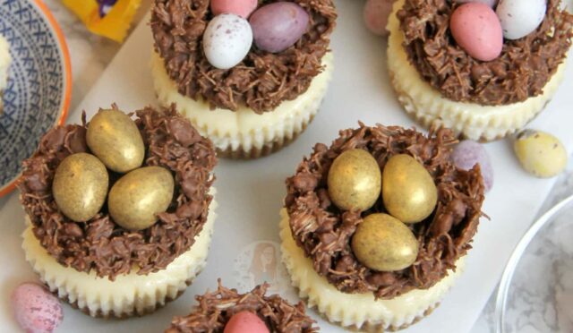 Individual Easter Nest Cheesecakes!