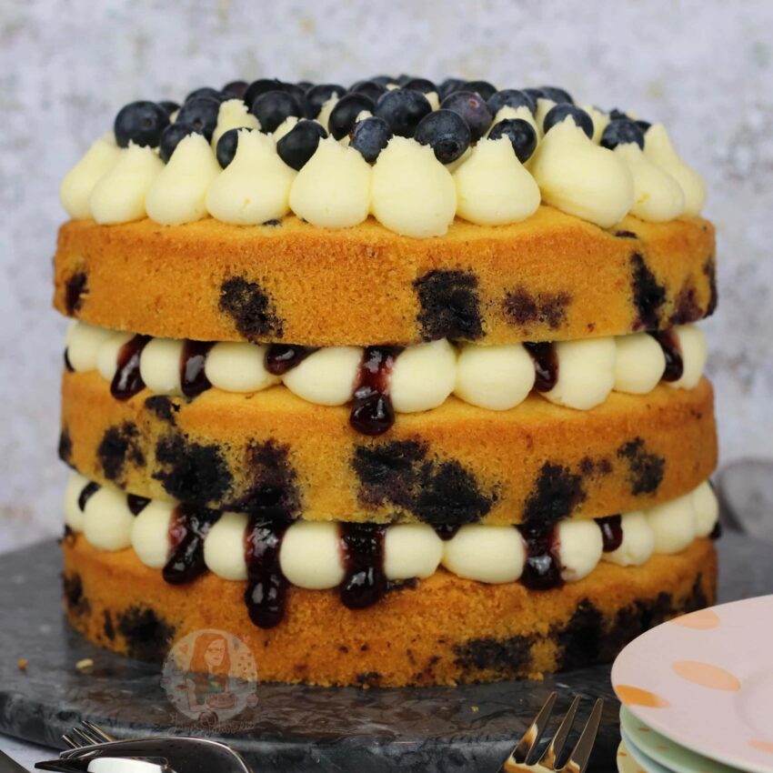 Lemon & Blueberry Cake!