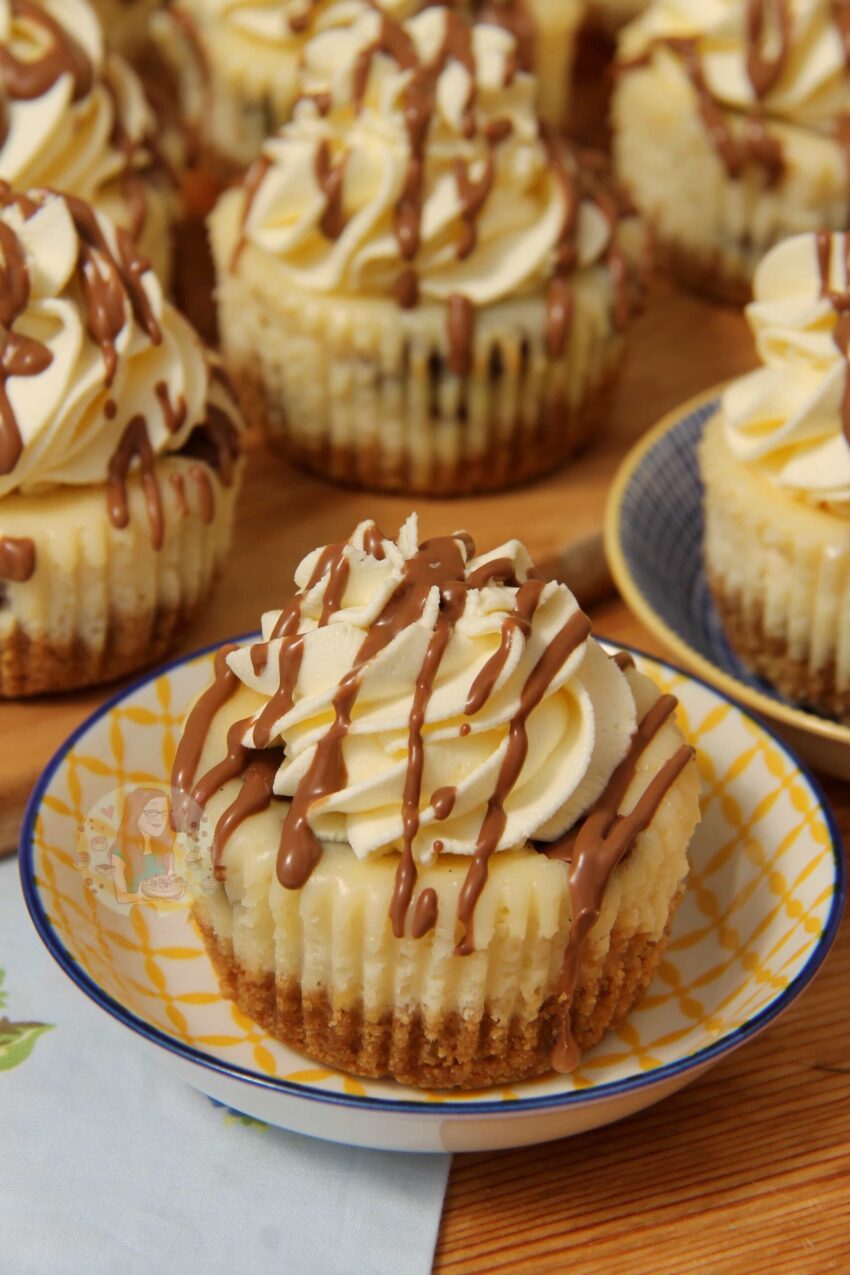 Mini Chocolate Chip Cheesecakes!