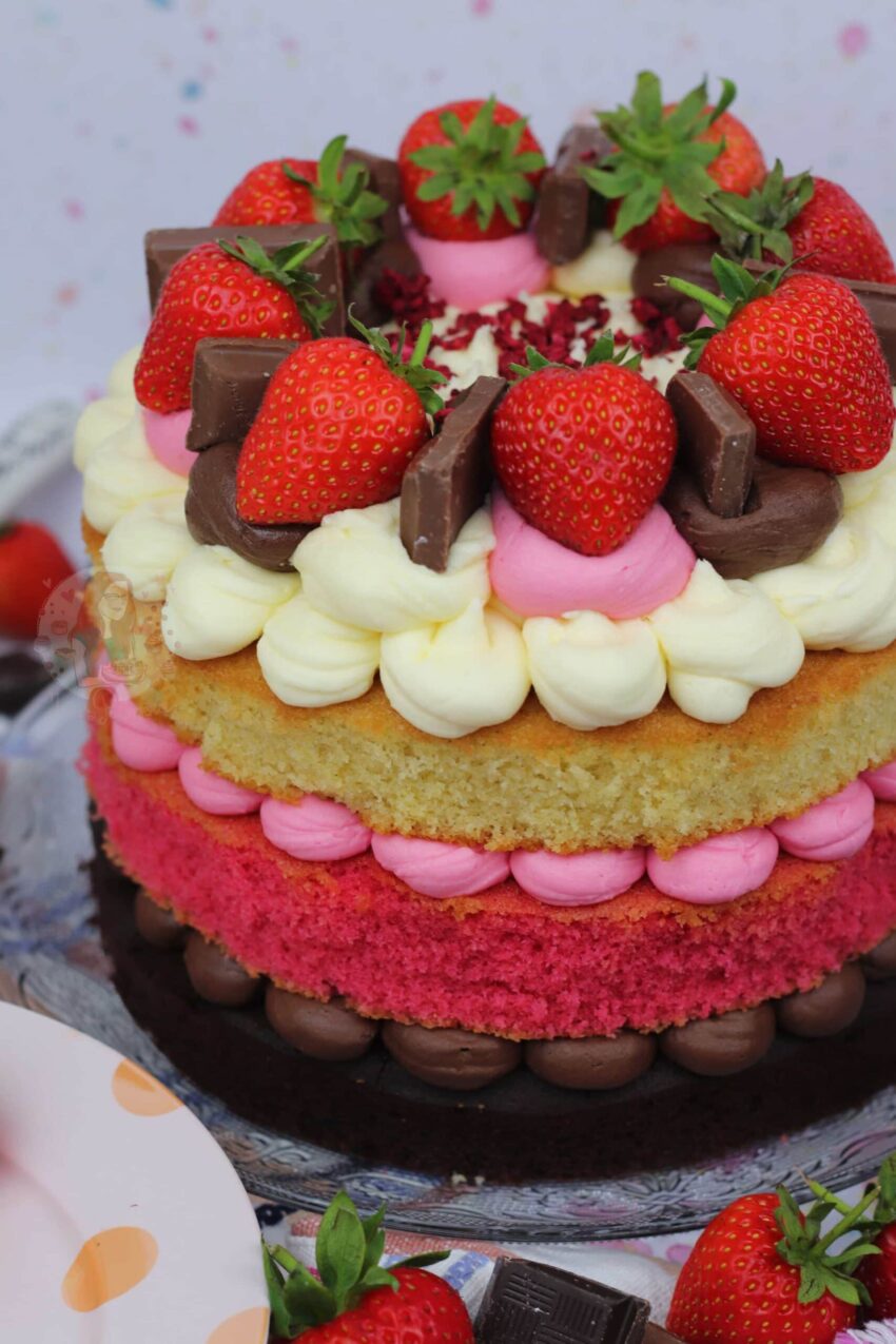 Neapolitan Cake!