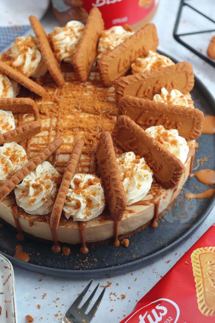 No-Bake Biscoff Cheesecake!