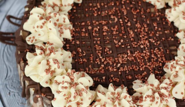No-Bake Mocha Cheesecake!